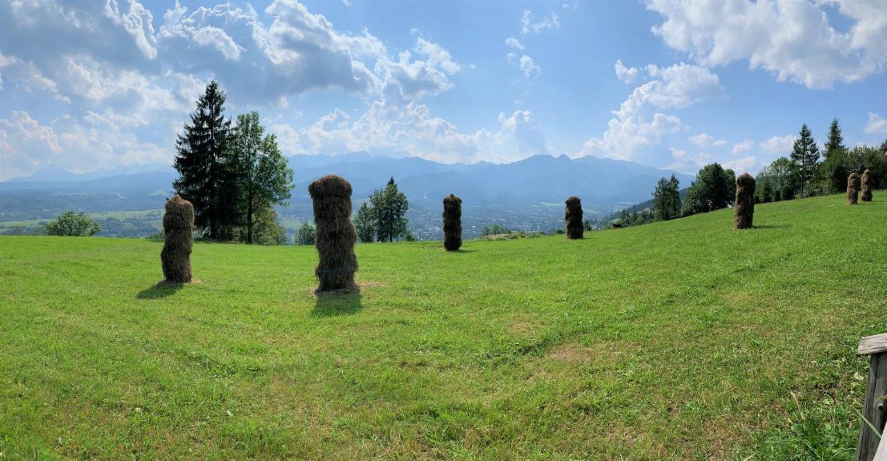 Willa Dolina Harenda Zakopane Exterior foto